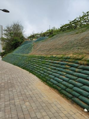 전주 견훤로 도로 정비사업